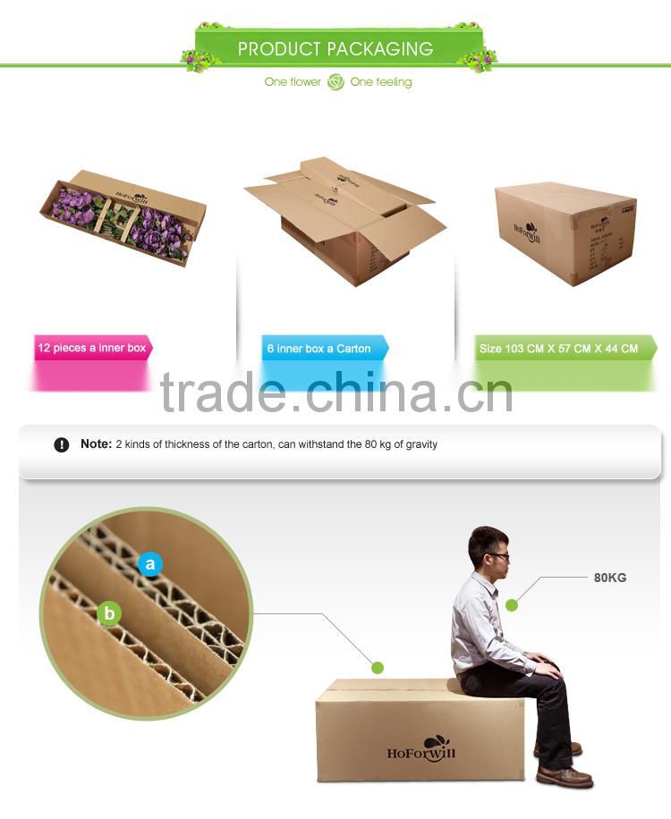 long indoor design wistaria flowers hot selling wholesale flowers