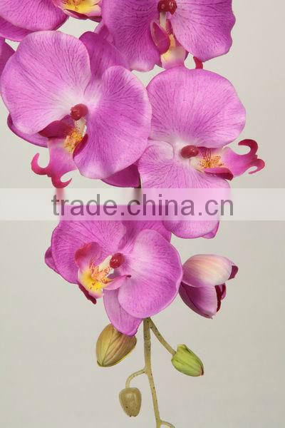 27538 series of hand-painted Multi-colored Beautiful Indoor Plant Orchids