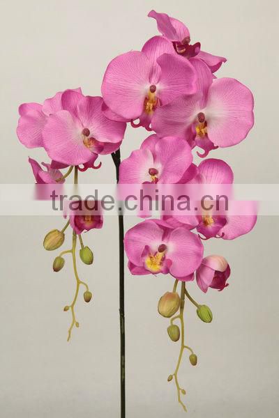 27538 series of hand-painted Multi-colored Beautiful Indoor Plant Orchids