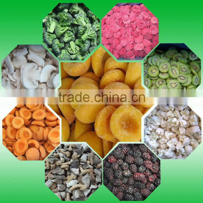 IQF Frozen Diced Apple,Apple Dice,Frozen Apple Dices