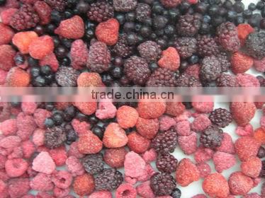 Competitive Prices Frozen Fruits