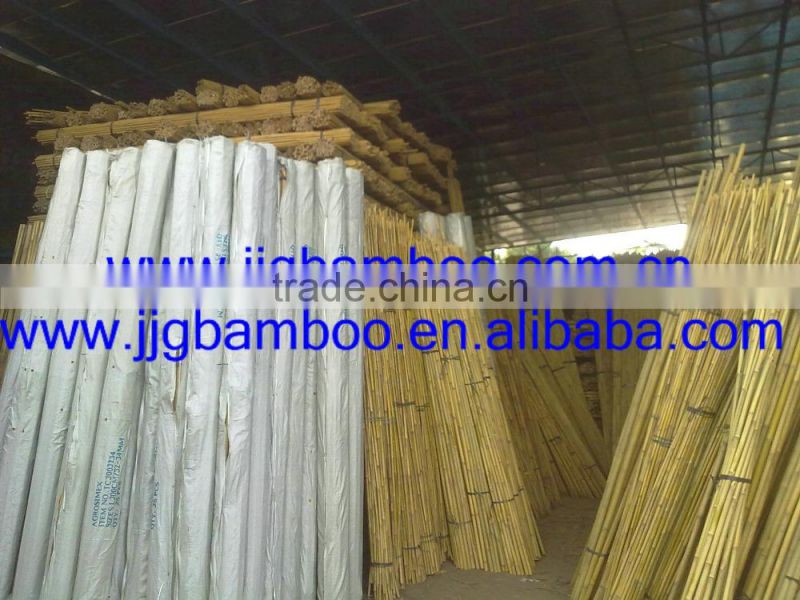 bamboo cane