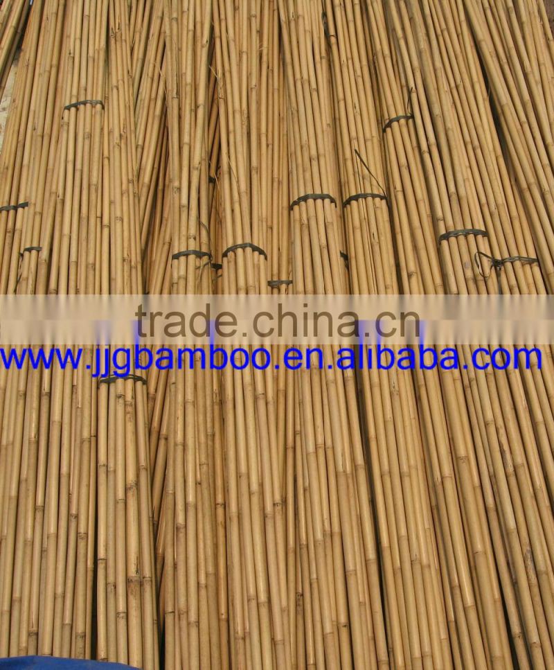 tonkin bamboo sticks