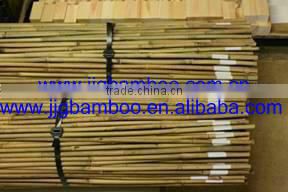 tonkin bamboo sticks