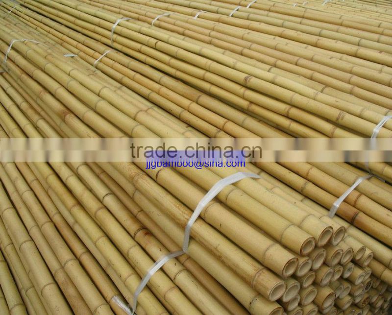 tokin bamboo cane