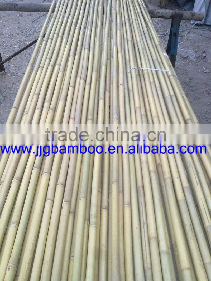 bamboo cane