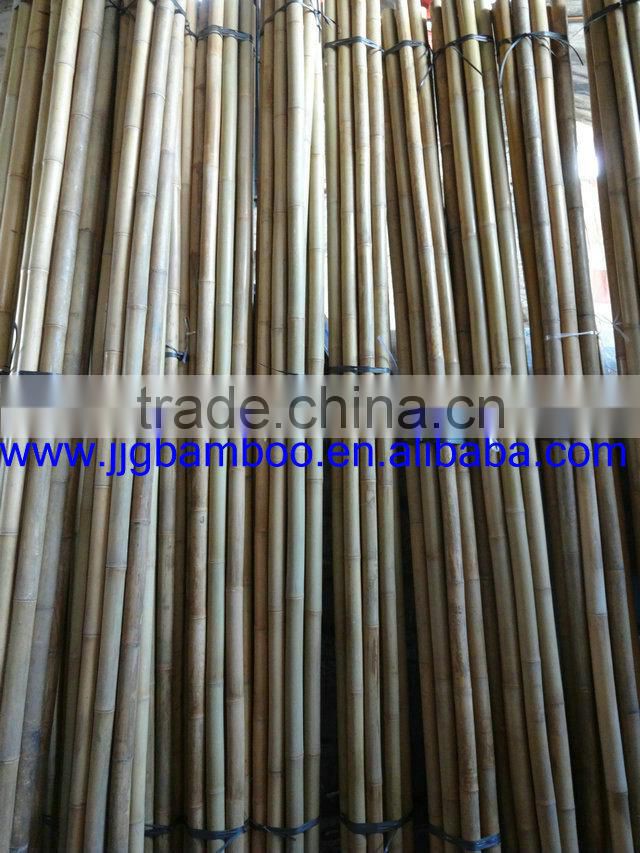 bamboo cane