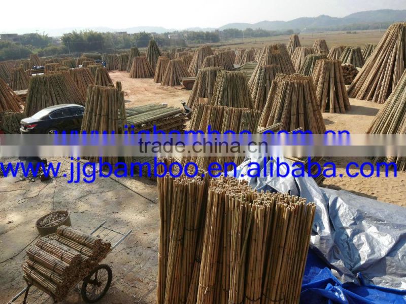 tonkin bamboo sticks