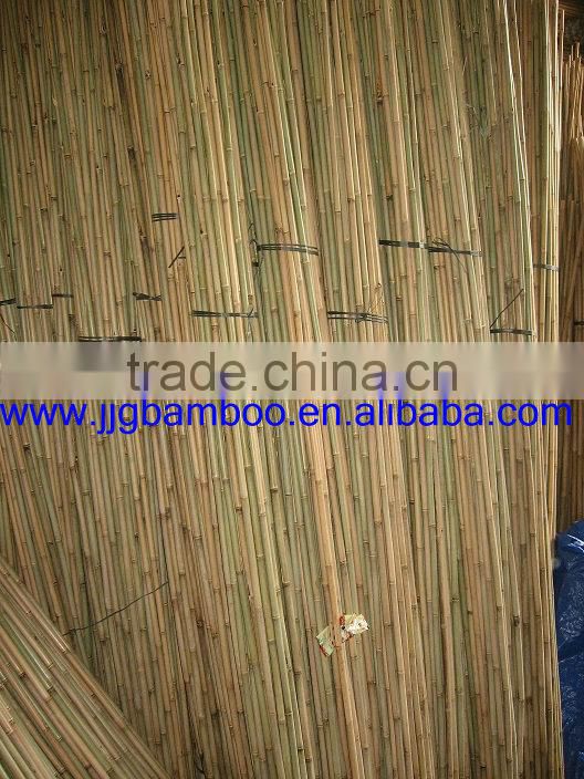 tonkin bamboo sticks