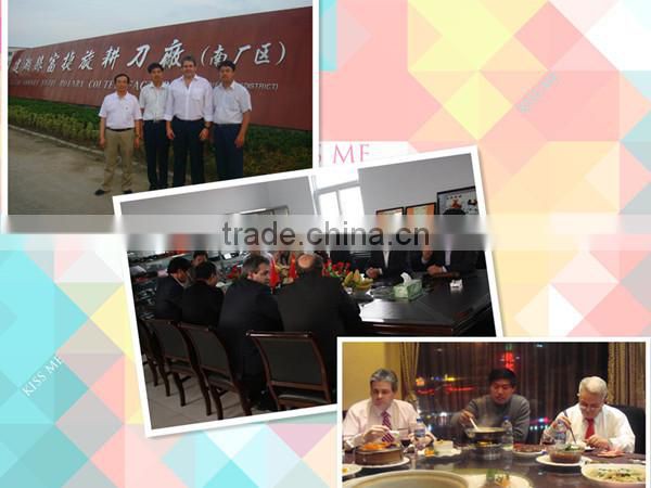 Agriculture Machinery Blue Lemken Parts