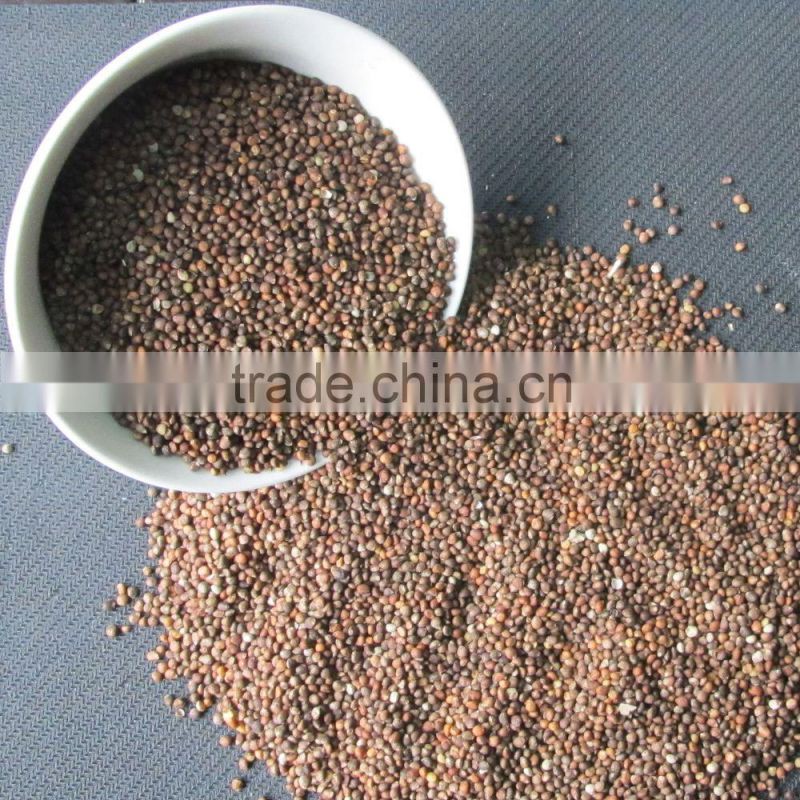 brown perilla seeds red perilla