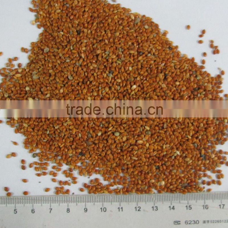 red broomcorn millets red millet spray