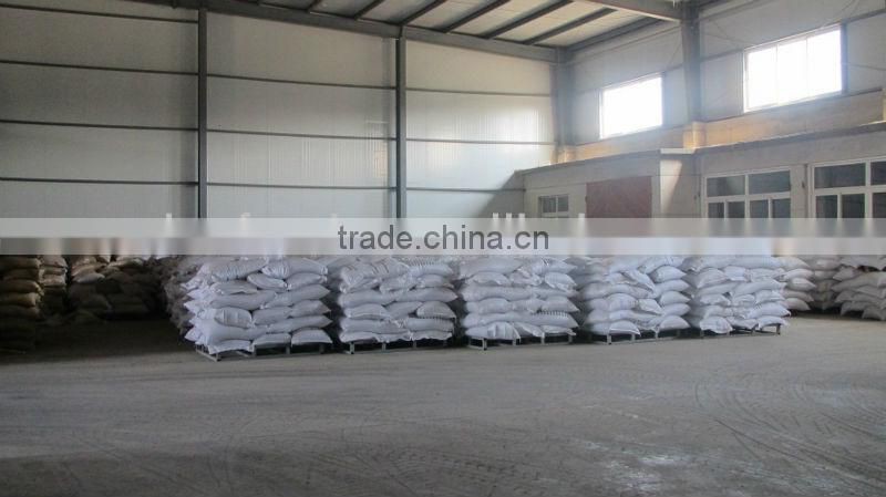 white small japanese bean