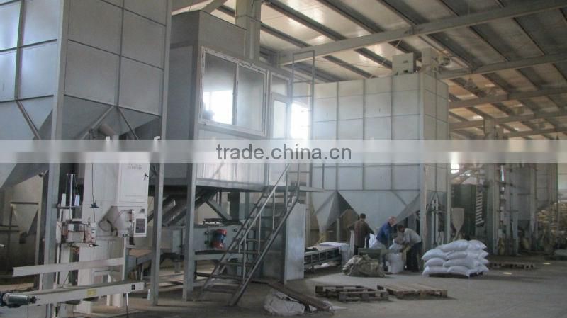 white small japanese bean