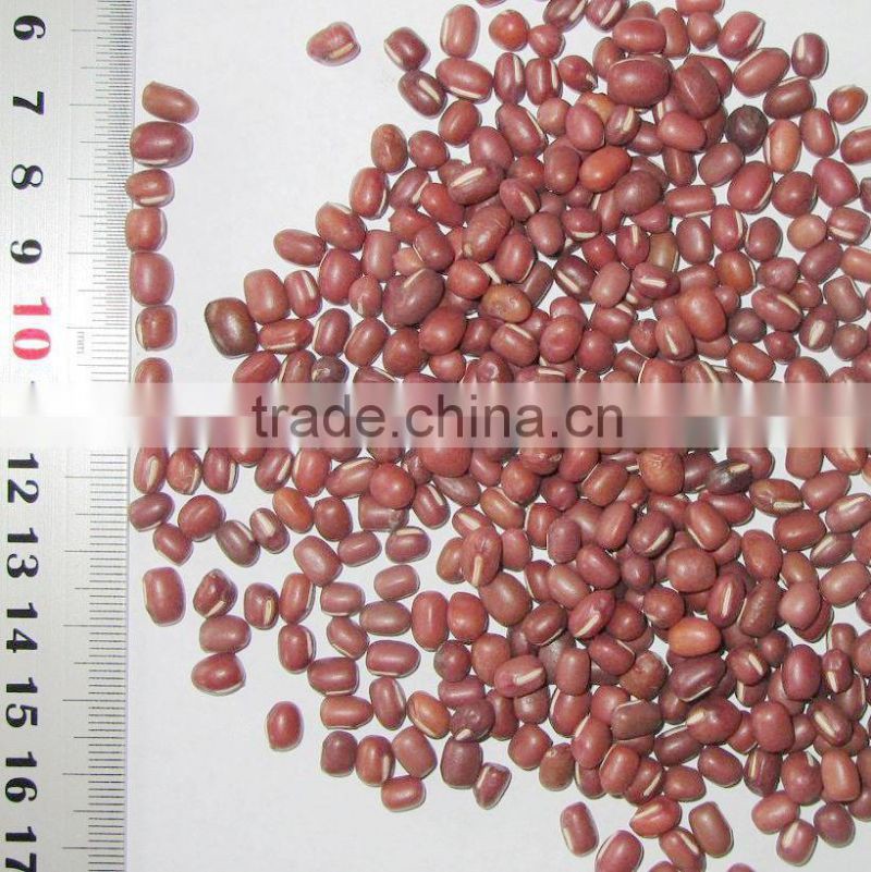 small size adzuki beans red ball beans