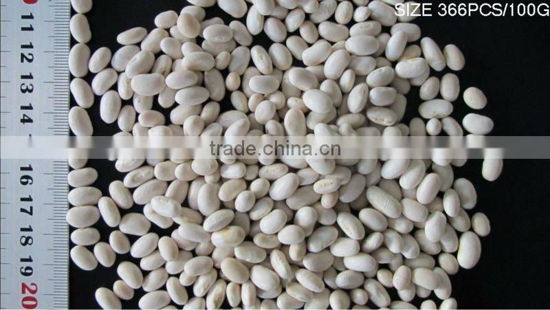 white small japanese bean