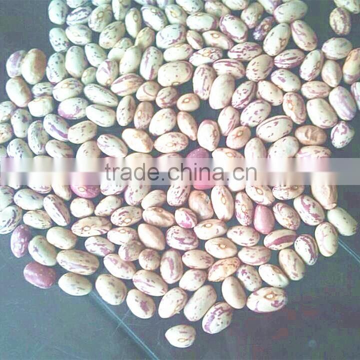 LSKB high quality huanan round