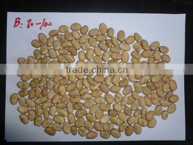 new crop factory supplier fava beans cheap Best Price Broad Bean