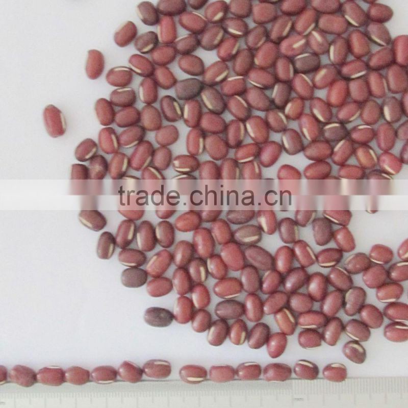 small size adzuki beans red ball beans