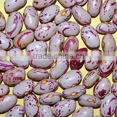 LSKB high quality huanan round