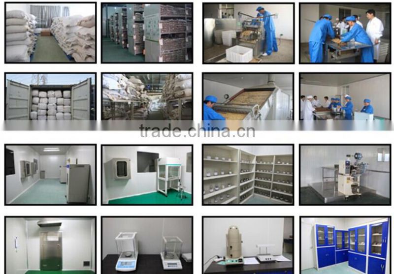 2015 hot sales hemp seed for sale