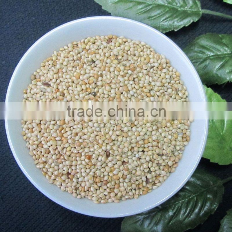 dried white millets white proso millet