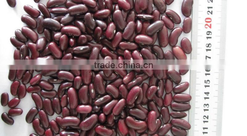 dark red kidney beans yunnan kidney beans