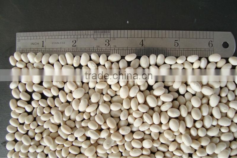 navy white beans dry white peas