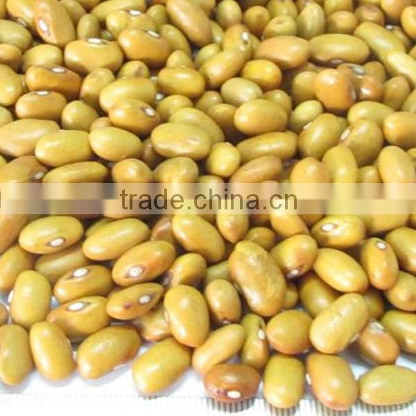 round shape yellow kidney beans