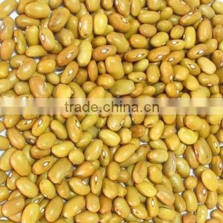 round shape yellow kidney beans