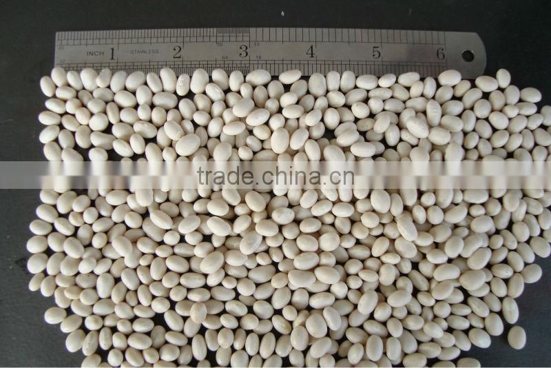 navy white beans dry white peas