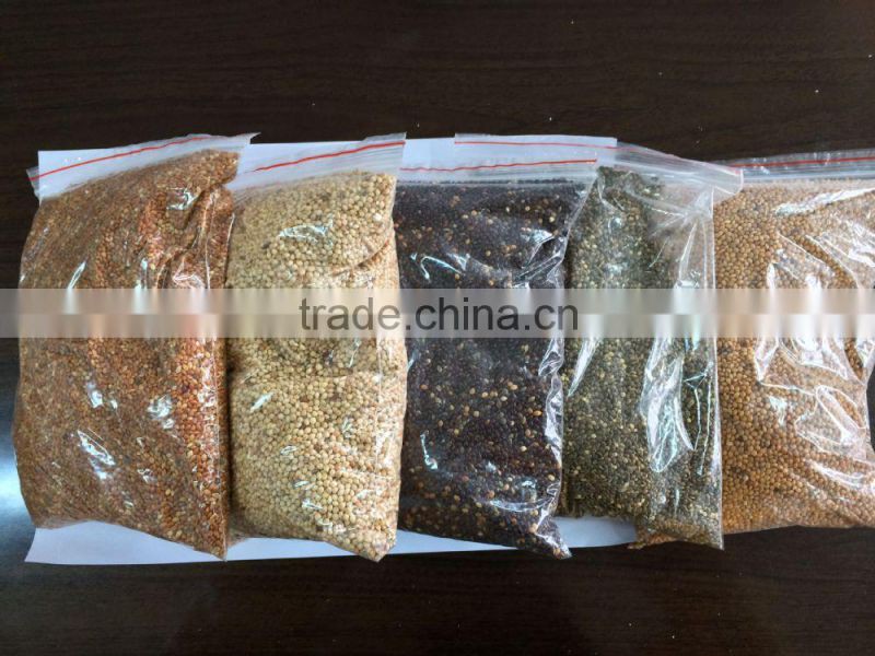 millet seed whole grain millet bulk millet for sale