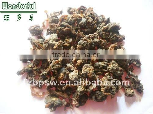 45% protein abalone feed sea shell meat powder shell flesh powder
