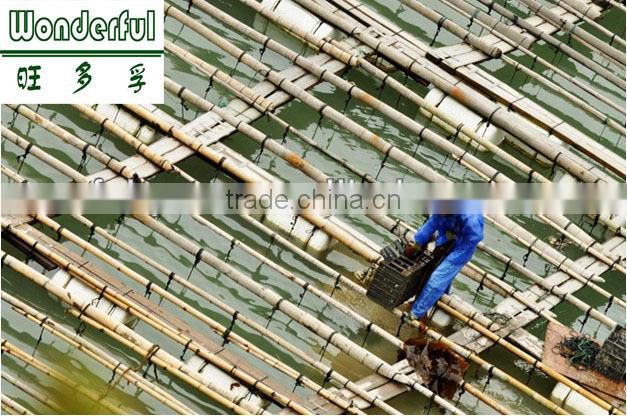 abalone feed/fodder,block,sinking abalone feed,seaweed