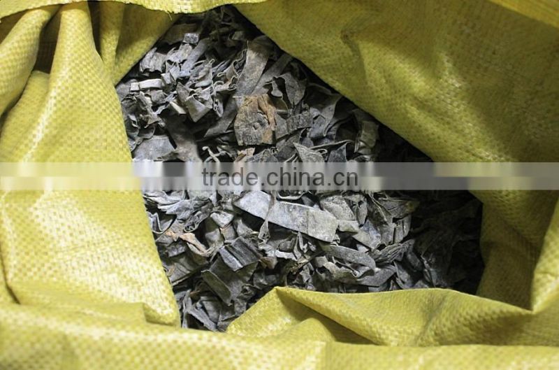 Feed Grade Kelp/Laminaria for abalone