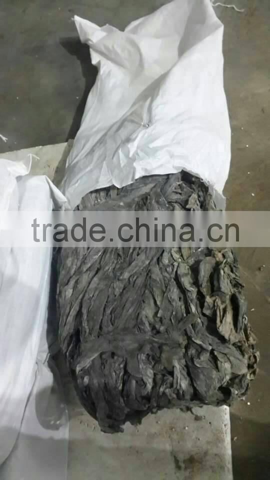 Feed Grade Kelp/Laminaria for abalone