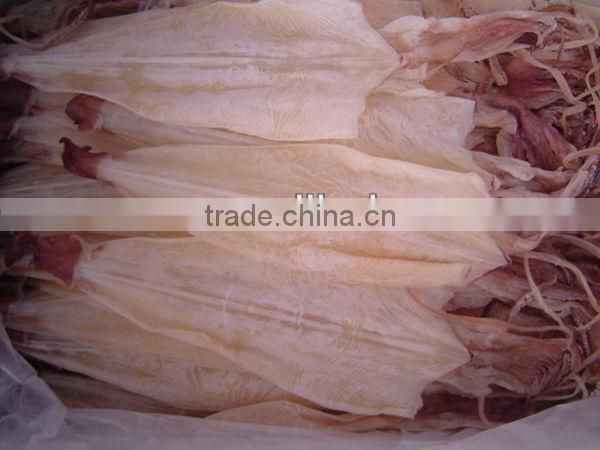 dried illex squid