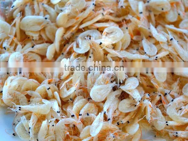 dried fresh baby shrimp for sale