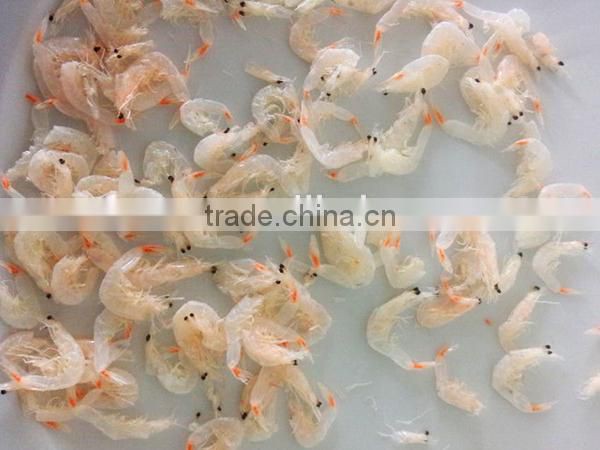 dried freshwater baby shrimp for sale