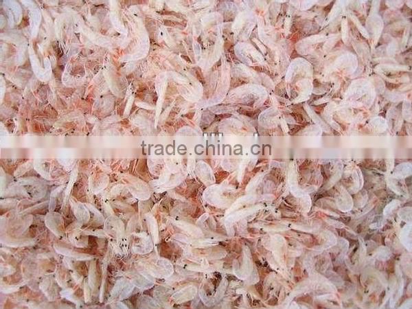 dried baby shrimp
