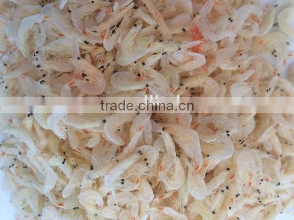 frozen salted dried baby shrimp/cooked shrimp