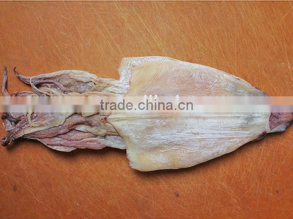 dried squid whole High quality