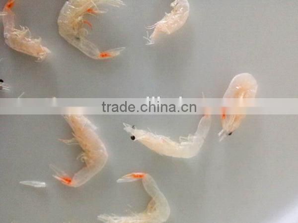 dried freshwater baby shrimp for sale