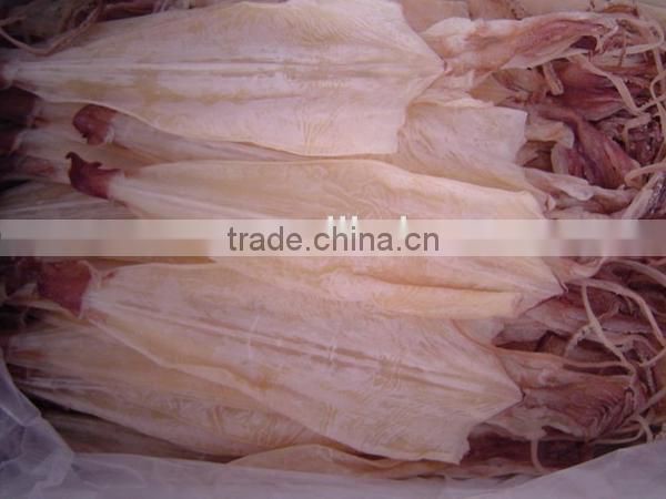 dried squid whole High quality