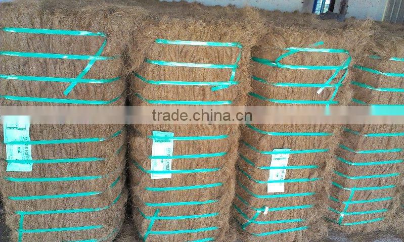 Coconut Palm Fiber