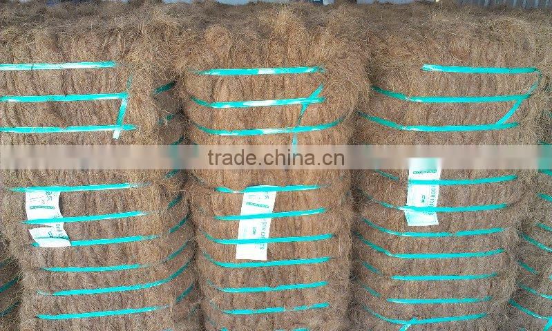 Coconut Palm Fiber
