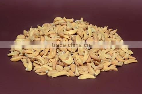 DEHYDRATED GARLIC PORDUCTS