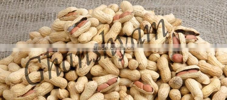 Groundnuts In-shell