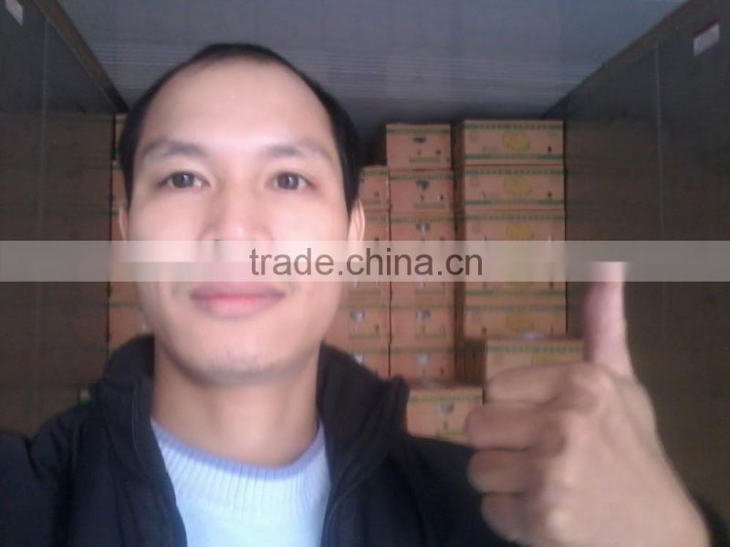 FRESH CAVENDISH BANANA EXPORTING GIMEX VIET NAM