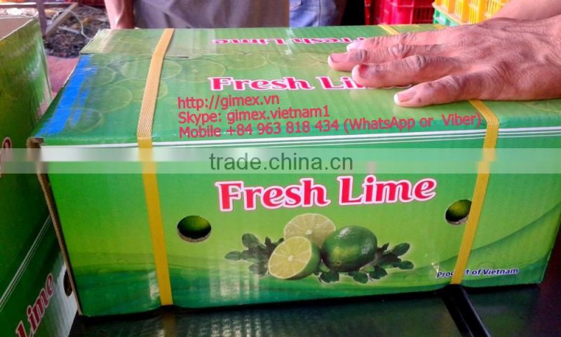 Best Lemon and Fresh lime in Vietnam